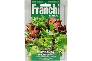 SEEDS OF ITALY LTD FRANCHI SEMENTI Misticanza di Lattughe, 12 Grammi