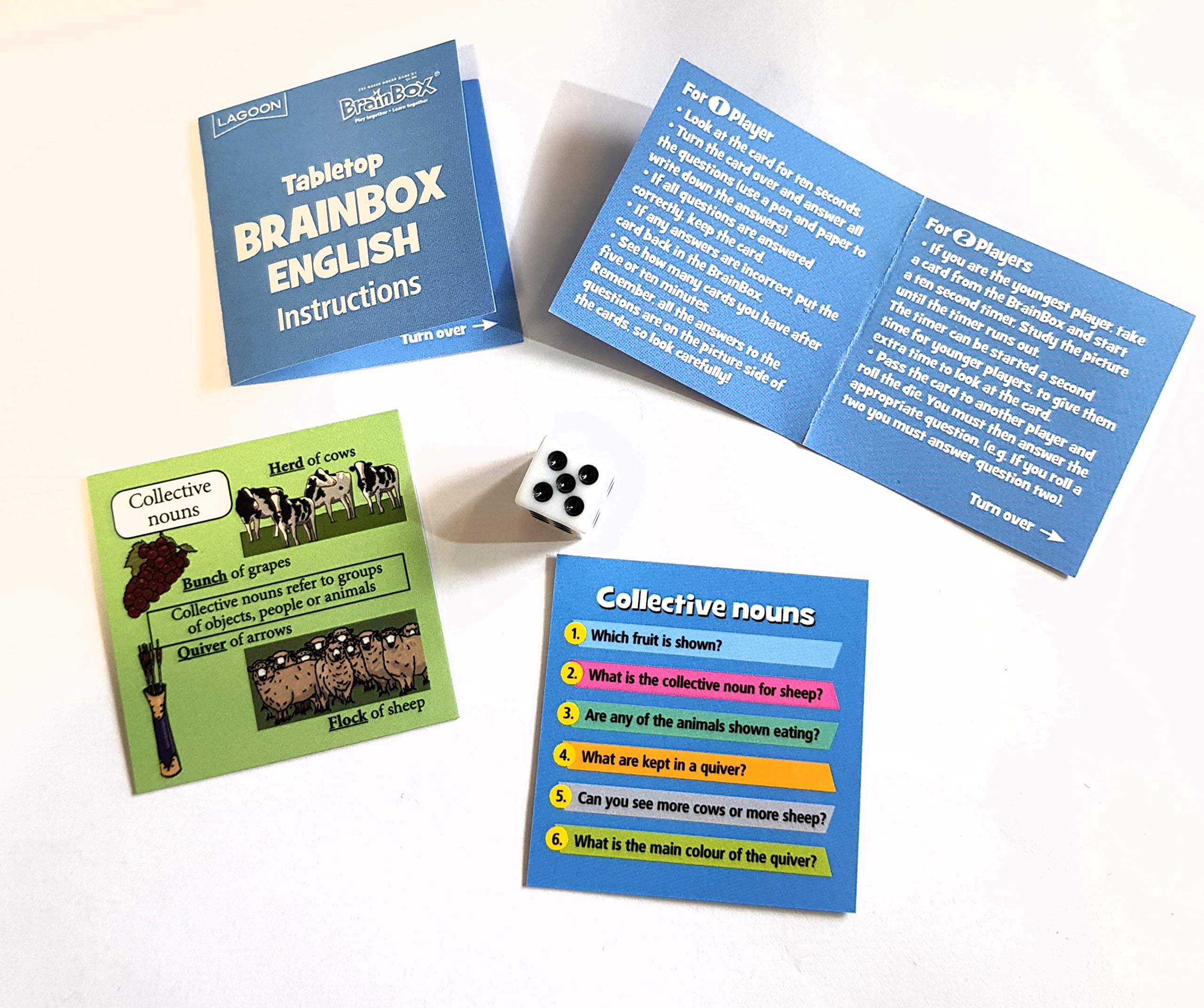 Lagoon Group The 1707 Mini Tabletop BrainBox Inglés, Multicolor - Imagen 5