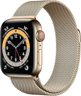 Apple Watch Series 6 (GPS + Cellular, 40 mm) Cassa in acciaio inossidabile  color oro con Loop Cassa in maglia milanese color oro : Amazon.it