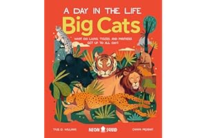 Big Cats (A Day in the Life): What Do Lions, Tigers and Panthers Get up to All Day?