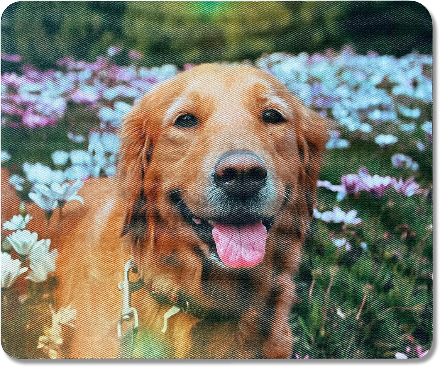 Vue 10