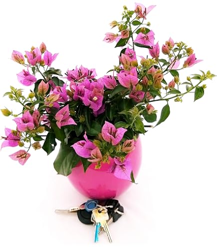 Mandevilla Dipladenia Rosa A Fiore Doppio – 3 Piante VERE In Vaso 14 Cm, Rampicante Da Balcone E Giardino, Regalo Verde Con Fioritura Abbondante