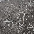 Self Adhesive Vinyl Floor Tiles Pack of 20 Pieces Covers 20 ft² (1.8m²) Peel and Stick Floor Tiles size 12x12 In (30.5x30.5cm) 1.5mm thick Waterproof Kitchen Luxe Marble Effect Vinyl Flooring