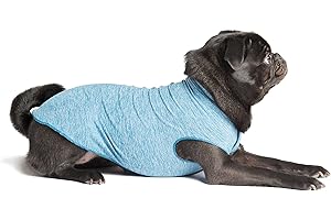 Gold Paw Sun Shield Hund Tee – Ocean Heather, Size 10, Blau