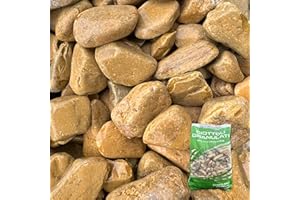 CENTRO NATURA & PET SHOP Sassi Colorati Ciottoli Giallo Siena Decorativi per Giardino 25-40mm Riempimento Vasi e Aiuole Confezione 25kg