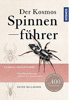 Der Kosmos Insektenfuhrer Ebook Bellmann Dr Heiko Amazon De Kindle Shop