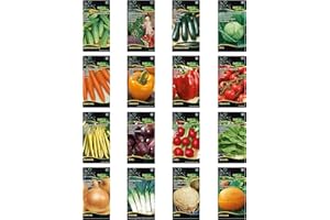NOJAUS SĖKLOS Nojus - Collezione di semi da giardino Deluxe - 16 verdure per la tua oasi in giardino - Alto tasso di germinazione, istruzioni facili da seguire