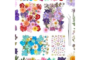 XRUISON Real Dried Pressed Flowers for Resin - 188 PCS Natural Dried Flowers Mixed Pressed Daisies Dry Flower Resin Art Butterfly Nail Stickers