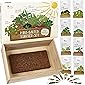 Saatgut Anzuchtset mit Holzkiste und 8 Sorten Pflanzen Samen: Kinder Anzuchtset Pflanzen mit Gemüse Samen, Erdbeeren…