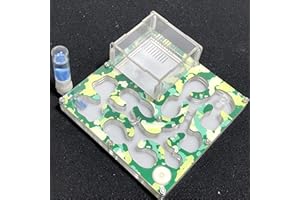 ant grape 140 * 140mm großer Raum Camouflage-Ameisenfarm-Ameisenhügel Pädagogisches Formicarium mit Feuchtigkeits- und Wasserzufuhr für LIVE-Ameisen (Camouflage Summer)