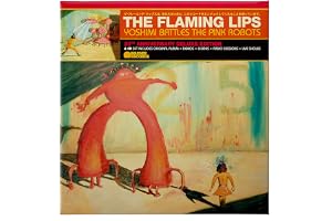 Yoshimi Battles the Pink Robots