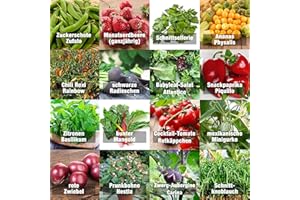 Set de graines "Indoor" PRADEMIR – Set spécial plantation d’intérieur – 16 variétés de fruits, herbes et légumes – Graines 100% naturelles du Portugal – Variétés naines à haut taux de germination