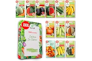 LW TORAF Set de Semillas Huerto XXL 12 variedades premium de hortalizas, 500 semillas, plantas de jardín,balcón,cocina, sandía,calabaza,berenjena,calabacín,melón,cucurbitáceas,plantas aromaticas