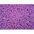 Vision4ever 2500 Seeds Alyssum Royal Carpet Annual Flower