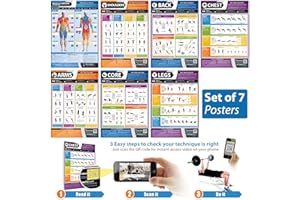 Gym and Muscle Building Workout Posters - Set of 7 - EXTRA LARGE - A1 (841mm x 594mm) - Laminated - Exercise & Fitness Charts - Includes Video Training Support by Posterfit