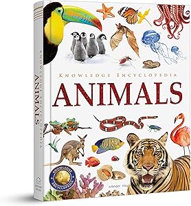 kindle best category lists