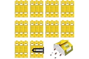 OLBO Trampa Adhesiva Profesional para CUCARACHAS con ATRAYENTE Natural (30 Piezas)