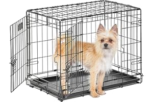 MidWest Homes for Pets Life Stages Modell 1624DD Hundebox, klein, Doppeltür, faltbar, Metall, 61 cm lang, mit Trenneinsatz, Bodenschutz, auslaufsicherer Wanne, für kleine Hunde, schwarz