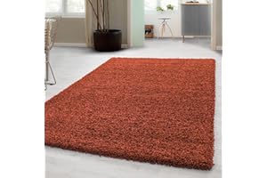 ‎CARPETSALE24 Carpetsale24 Shaggy Hochflor Teppich Wohnzimmer 140 x 200 cm Terrakotta Modern - Teppich Flauschig, Extra Weich, Pflegeleicht und einfarbig - für Schlafzimmer, Esszimmer - Ideal als Küchenteppich