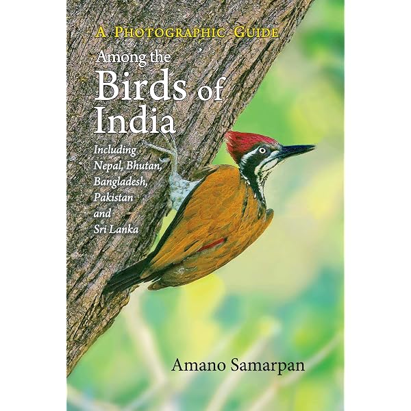 Buy Birds of South Asia: The Ripley Guide Book Online at Low