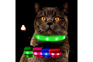 Ljushalsband för katter [originalet] lysande LED-katthalsband för promenader även i mörkret – mycket lång batteritid – säker