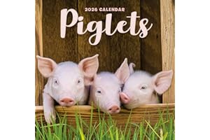 Carousel worldwide, Piglets 2026 Mini Wall Calendar