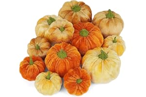 Ywlake 12 Pcs Autumn Artificial Pumpkins Assorted Sizes Fake Velet Pumpkins Orange Brown Beige Foam Pumpkins for Fall Harvest Thanksgiving Halloween Party Holiday Decor Decoration