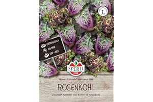 81180 Sperli Premium Rosenkohl Samen Flower Sprouts | Neuheit | Mischung aus Rosenkohl und Grünkohl | Rosenkohl Saatgut | Kohl Samen