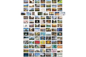 the lazy panda card company Lot de 100 cartes postales différentes
