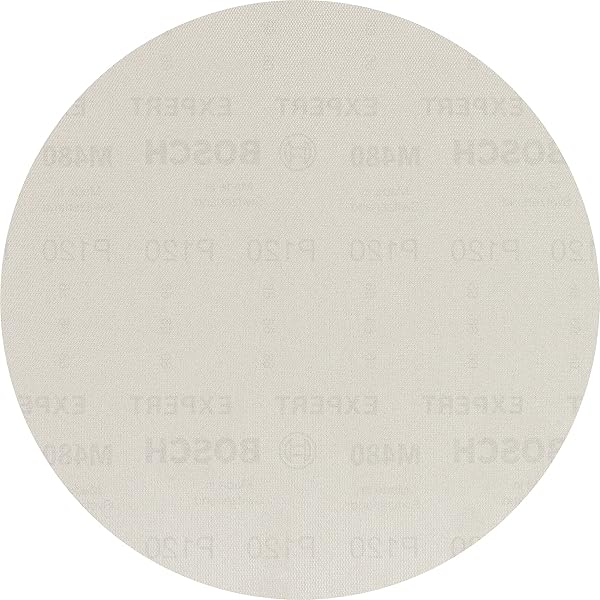Bosch Professional 1x Plateau de Ponçage 215 mm (pour Bosch Professional GTR 550, Accessoires Ponceuses pour Cloisons Sèches Bosch Professional 1x Plateau de Ponçage 215 mm (pour Bosch Professional GTR 550, Accessoires Ponceuses pour Cloisons Sèches
