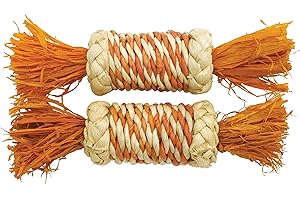 Rosewood Boredom Breaker Corn Rattle Rollers, Small Animal Activity Toy, Pack of 2