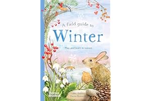 A Field Guide to Winter: Play and learn in nature: 4 (Field Guide series)