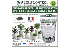TOUT POUR LES NUISIBLES 250 g Engrais Spécial Plantes Vertes 6-3-6 - Croissance, Feuillage Dense & Vitalité - Formulation Organo-Minerale - Libération Lente - Convient Plantes Intérieur & Extérieur - Fabriqué en France