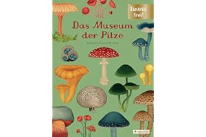 Das Museum der Pilze: Eintritt frei! - Sachbilderbuch im Großformat für Kinder ab 8 Jahren mit meisterhaften Illustrationen von Katie Scott zur faszinierenden Welt der Pilze