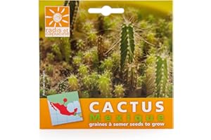 Radis et Capucine - Sachets Graines Exotiques À Semer - Cactus à semer à la maison