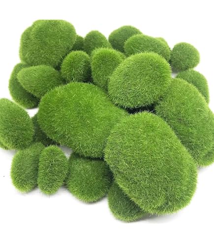 Netuno Mousse De Renne Naturelle Vert Clair 30g – Mousse Décorative Conservée Pour Terrarium, DIY Pâques, Noël, Couronnes & Scénographie Florale