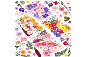 CRUZIX 140 Pcs Dried Pressed Flowers for Resin, Real Pressed Flowers Dry Leaves Bulk Natural Herbs Kit for Scrapbooking DIY Art Crafts, Epoxy Resin Jewelry Molds, Candle, Soap Making, Nails Décor