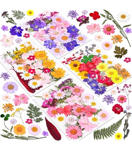 PATIKIL Lot de 48 marguerites séchées séchées naturelles séchées pour loisirs créatifs, décoration de maison, décoration d'ongles, blanc
