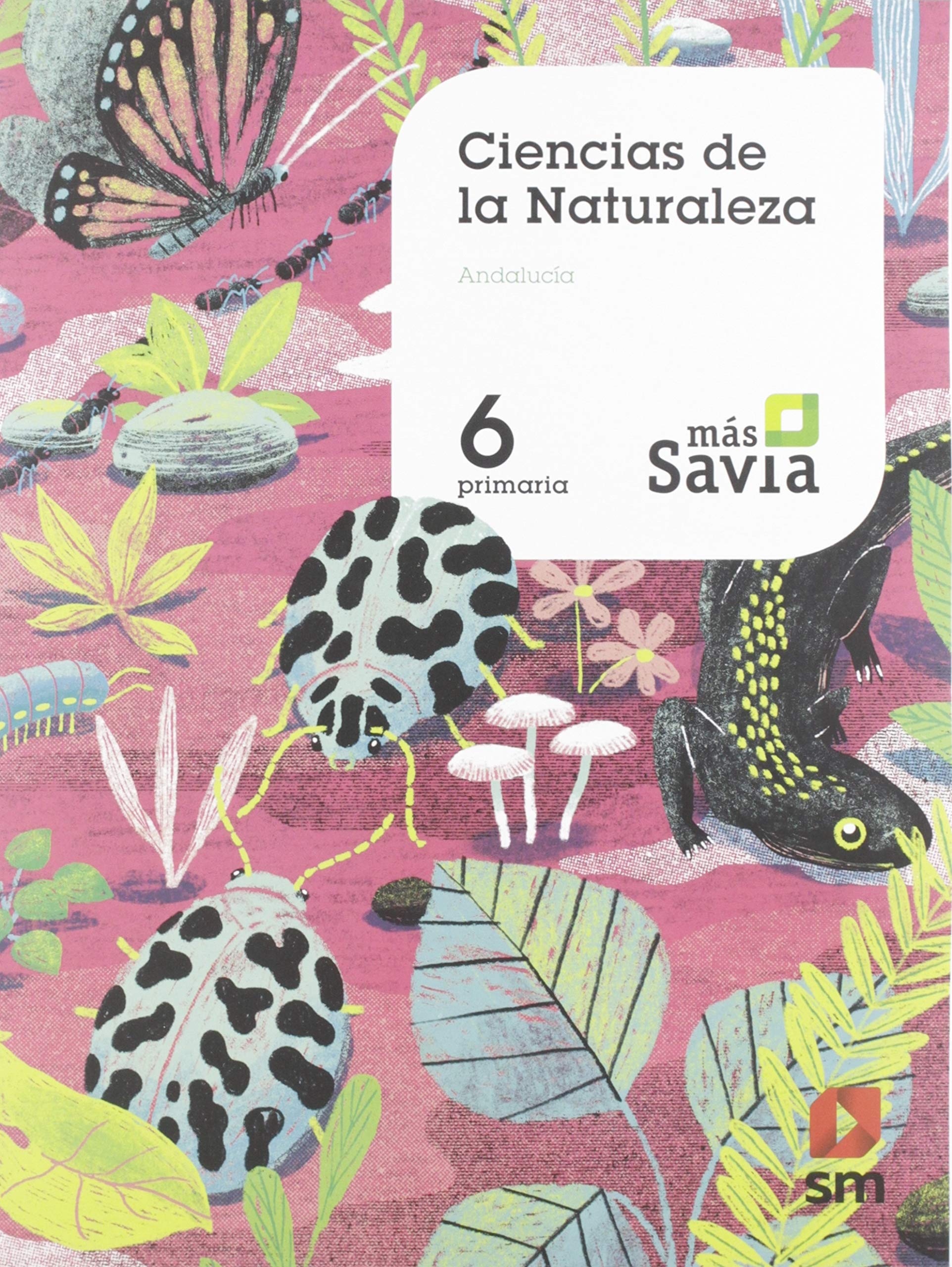 Ciencias de la naturaleza. 6 Primaria. Mas Savia. KC. Andalucía