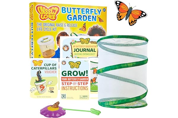Kit d' elevage de papillons - Insect Lore