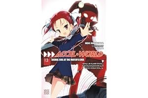 Accel World, Vol. 13 (light novel): Signal Fire at the Water's Edge (ACCEL WORLD LIGHT NOVEL SC)