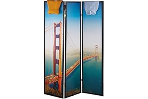 Relaxdays Paravento, Legno e Plastica, 3 Ante, San Francisco, Pannello Divisorio per Interni, HxL:179x132cm, Colorato