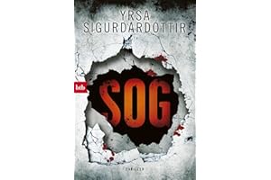 SOG: Thriller (Kommissar Huldar und Psychologin Freyja, Band 2)