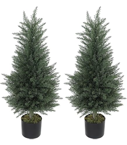 Momoplant 2 Bonsai Di Erba Corallina Artificiale – Cipresso Finto In Vaso Con Tronco In Legno Naturale E Muschio, Altezza 90 Cm