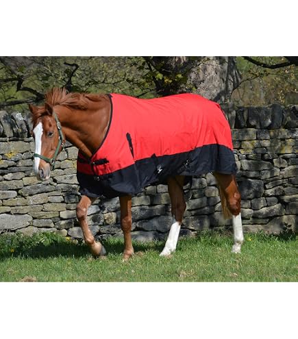 Couverture D'hiver Pour Cheval PFIFF Winnipeg 95cm Noir - Écurie Et Transport, Soufflet Aisance, Sangles Croisées - 7
