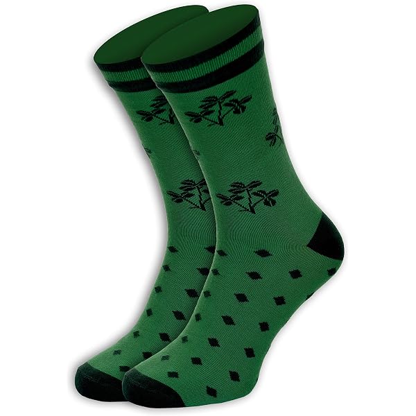 327617_6 327617_6