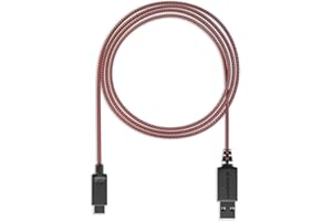 Lioncast Support de Recharge Cable Chargeur Adaptateur transmetteur Audio Bluetooth, Manette sans-Fil - Compatible avec la Nintendo Switch Accessoire Jeux-Vidéos, Gaming