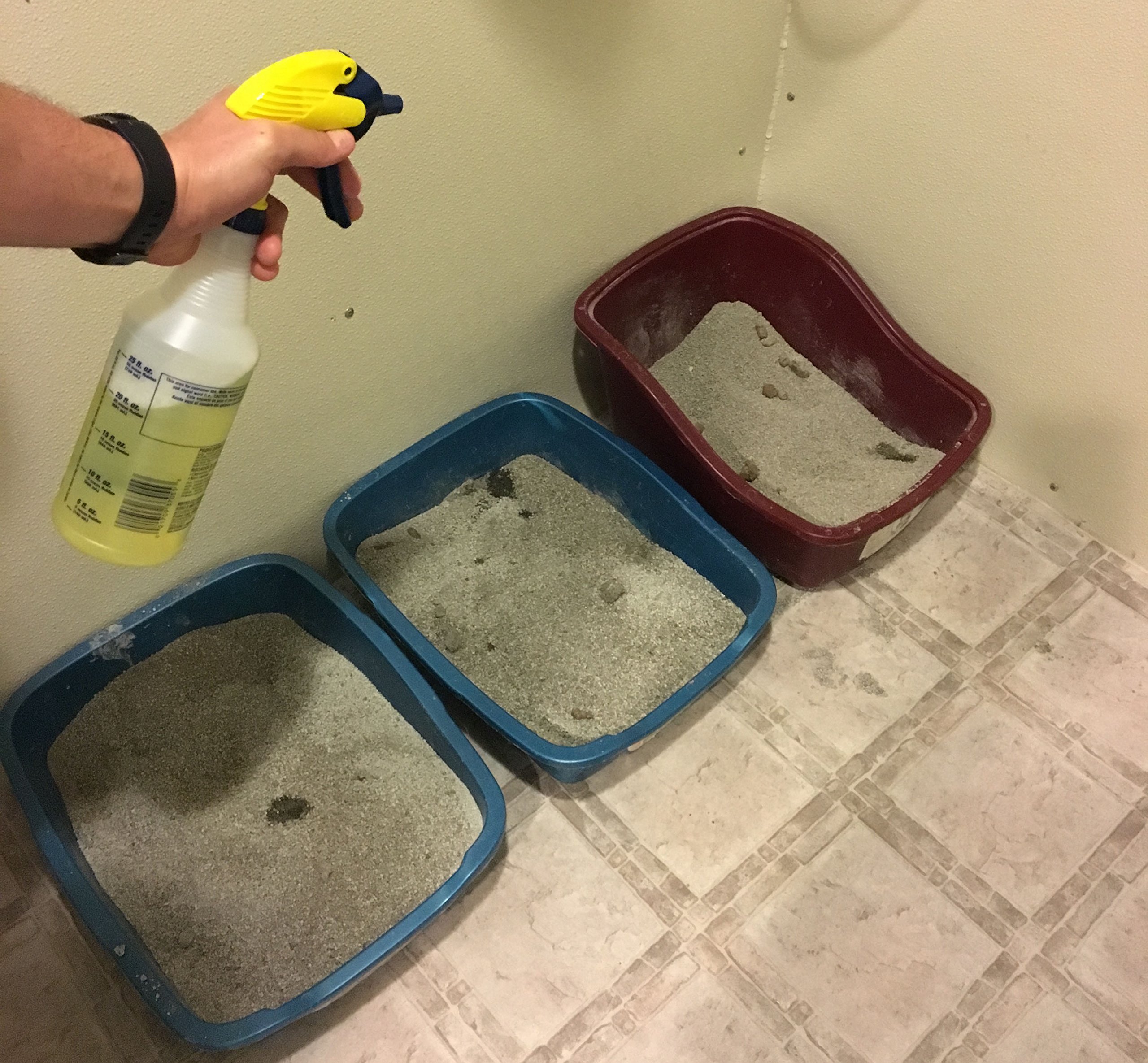 mad lemon pet odor eliminator