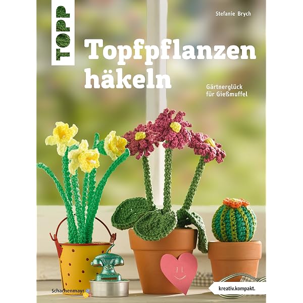 opuntia kaktus kaufen 10 Stck Opuntia Kaktus ca. 10 cm