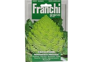 FRANCHI SEMENTI SEMENTI DI ORTAGGI DI QUALITA' PER USO HOBBYSTICO PROTETTE IN DOPPIA BUSTA (CAVOLFIORE ROMANESCO PRECOCE)